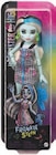 Monster High Puppe Angebote von Mattel bei Lidl Aschaffenburg für 12,99 €