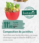 Promo Composition de jacinthes à 11,99 € dans le catalogue Botanic à Rueil-Malmaison