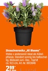 Strauchveronika "All Blooms" von  im aktuellen OBI Prospekt für 2,99 €