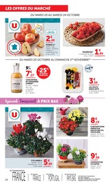 Promos Plantes dans le catalogue "Halloween À PRIX BAS" de Super U Plantes en promo dans le catalogue Super U à la page 24