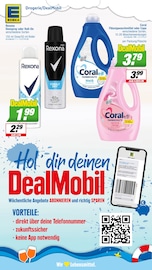 Waschmittel im EDEKA Prospekt in Borken Aktueller EDEKA Prospekt mit Waschmittel, "Aktuelle Angebote", Seite 21