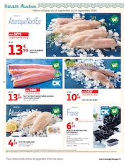 Promos Dorade dans le catalogue "LA RENTRÉE À PRIX K.O." de Auchan Supermarché Dorade en promo dans le catalogue Auchan Supermarché à la page 14