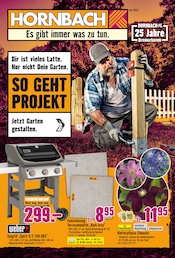Bodenbelag im Hornbach Prospekt in Bremerhaven Aktueller Hornbach Prospekt mit Bodenbelag, "Dir ist vieles Latte. Nur nicht Dein Garten.", Seite 1