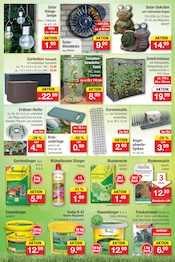 Blumenerde im Zimmermann Prospekt in Lehrte Aktueller Zimmermann Prospekt mit Blumenerde, "Aktuelle Angebote", Seite 12