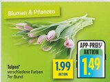 Tulpen Angebote bei diska Hof für 1,49 €