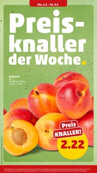 Ente im Penny Prospekt "Wer günstig will, muss Penny." mit 44 Seiten (München)