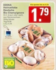 WEZ Uchte - Deutsche Bio Champignons braun Angebot im Prospekt Deutsche Bio Champignons braun bei WEZ im Uchte Prospekt für 1,79 €