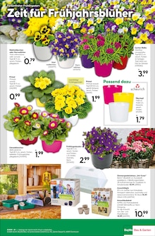 Blumenerde im BayWa Bau- und Gartenmärkte Prospekt "Innenausbau leicht gemacht" mit 16 Seiten (Nürnberg)