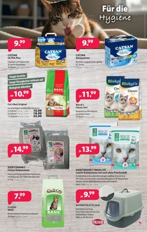 Katzenstreu im Kiebitzmarkt Prospekt "Frohe Ostern und auf in die Freiluftsaison!" mit 8 Seiten (Cottbus)