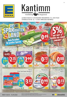 Aktueller EDEKA Prospekt "Aktuelle Angebote" Aktueller EDEKA Prospekt