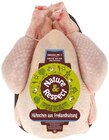 Frische Freiland-Hähnchen Angebote von Nature & Respect bei REWE Seevetal für 8,90 €