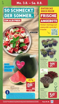 ALDI Nord Prospekt der aktuellen Woche, gĂĽltig von 03.08.2026 bis 08.08.2026 Aktueller ALDI Nord Prospekt "Aktuelle Angebote" mit 40 Seiten