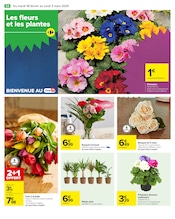 Plantes Angebote im Prospekt "Carrefour" von Carrefour auf Seite 56