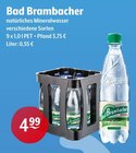 Natürliches Mineralwasser bei Getränke Hoffmann im Hof Prospekt für 4,99 €