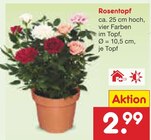 Rosentopf Angebote bei Netto Marken-Discount Aschaffenburg für 2,99 €