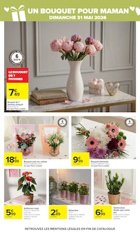 Promotion Kalanchoë dans le prospectus Carrefour, valable du 26/05/2026 au 08/06/2026 Promo Kalanchoë dans le catalogue Carrefour du moment à la page 52