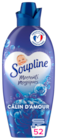 Adoucissant Liquide Moments Magiques Soupline à 5,80 € dans le catalogue Auchan Hypermarché