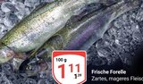 Frische Forelle für 1,11 € bei GLOBUS im Angebot Frische Forelle im aktuellen GLOBUS Prospekt