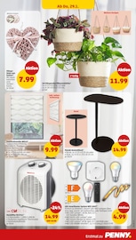 Tisch im Penny Prospekt in Berlin Aktueller Penny Prospekt mit Tisch, "Wer günstig will, muss Penny.", Seite 27