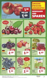 Äpfel im combi Prospekt in Cuxhaven Aktueller combi Prospekt mit Äpfel, "Markt - Angebote", Seite 3