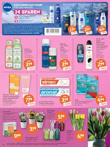 Tulpen im tegut Prospekt "tegut… gute Lebensmittel" mit 23 Seiten (Frankfurt (Main))