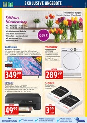 Fernseher im EDEKA Prospekt in Mölln Aktueller EDEKA Prospekt mit Fernseher, "Top Angebote", Seite 25