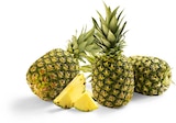 Ananas Angebote bei Netto Marken-Discount Trier für 1,29 €