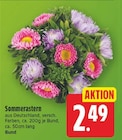 E center Berlin Prospekt mit  im Angebot für 2,49 €