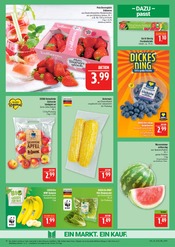 Gemüse im Marktkauf Prospekt in Altenburg Aktueller Marktkauf Prospekt mit Gemüse, "AUSWAHL RIESIG, PREISE NIEDRIG", Seite 10