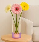 Glasvase mit integriertem LED-Sockel Angebote von BestSellers bei REWE Gießen für 9,99 €