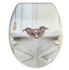 WC-Sitze im Angebot bei toom Baumarkt in Germering WC-Sitze Angebote bei toom Baumarkt Germering für 19,99 €