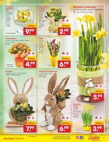 Blumen im Netto Marken-Discount Prospekt "Aktuelle Angebote" mit 56 Seiten (Erfurt)