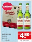 Budvar Angebote von Budweiser bei Getränke Quelle Weydringer Paderborn für 4,80 €