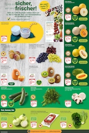 Aktueller GLOBUS Prospekt mit Bio, "Aktuelle Angebote", Seite 7