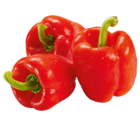 Paprika rot im Angebot bei Netto Marken-Discount in Emden Paprika rot Angebote bei Netto Marken-Discount Emden für 1,39 €
