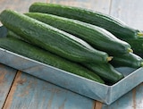 Intermarché Super Vallauris - Promo Concombre Promo Concombre à 2,49 € dans le catalogue Intermarché Super à Vallauris