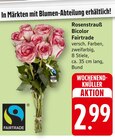 Rosenstrauß Bicolor bei EDEKA im Bietigheim Prospekt für 2,99 €