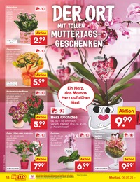 Netto Marken-Discount Gartenpflanzen im Prospekt 