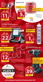 Aktueller Sonderpreis Baumarkt Prospekt mit Akku, "20 JAHRE VOLLER ÜBERRASCHUNGEN", Seite 3