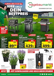 Hagebaumarkt Prospekt für Paderborn: "HIER GRILLT DEIN BESTPREIS", 16 Seiten, 06.06.2026 - 20.06.2026