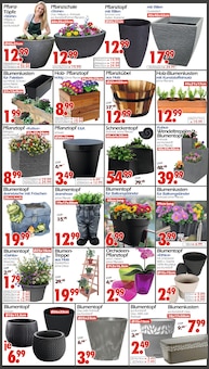 Blumentopf im Wreesmann Prospekt "DEIN SAISON- & SONDERPOSTENMARKT!" mit 20 Seiten (Cottbus)