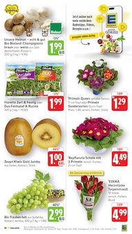 Obst im aktuellen EDEKA Prospekt (Frankfurt (Main)) Obst im EDEKA Prospekt "Aktuelle Angebote" mit 49 Seiten (Frankfurt (Main))