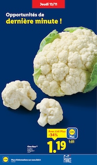 Promotion Fleurs dans le prospectus Lidl, valable du 13/11/2025 au 19/11/2025 Promo Fleurs dans le catalogue Lidl du moment à la page 4