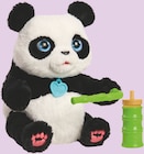 Coco le panda à Intermarché dans Wargnies-le-Petit Coco le panda à Intermarché dans Wargnies-le-Petit
