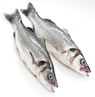 Wolfsbarsch von Metro Chef, Pro Trace im aktuellen METRO Prospekt für 13,15 €