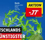 Rucola Angebote bei Lidl Dortmund für 0,77 €