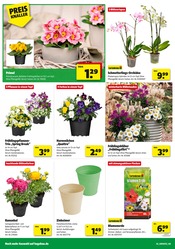 Blumenerde im Hagebaumarkt Prospekt in Rüsselsheim Aktueller Hagebaumarkt Prospekt mit Blumenerde, "So günstig geht das!", Seite 2