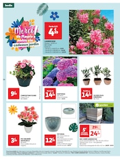 Orchidée Angebote im Prospekt "merci maman ! Bonne fête" von Auchan Hypermarché auf Seite 24