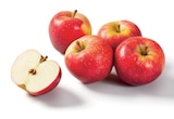 Promo Pomme Bicolore à 1,49 € dans le catalogue Lidl à Eyrans