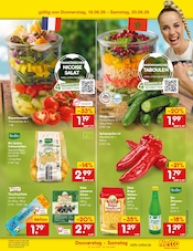 Steine im Netto Marken-Discount Prospekt in Dachau Aktueller Netto Marken-Discount Prospekt mit Steine, "Aktuelle Angebote", Seite 63